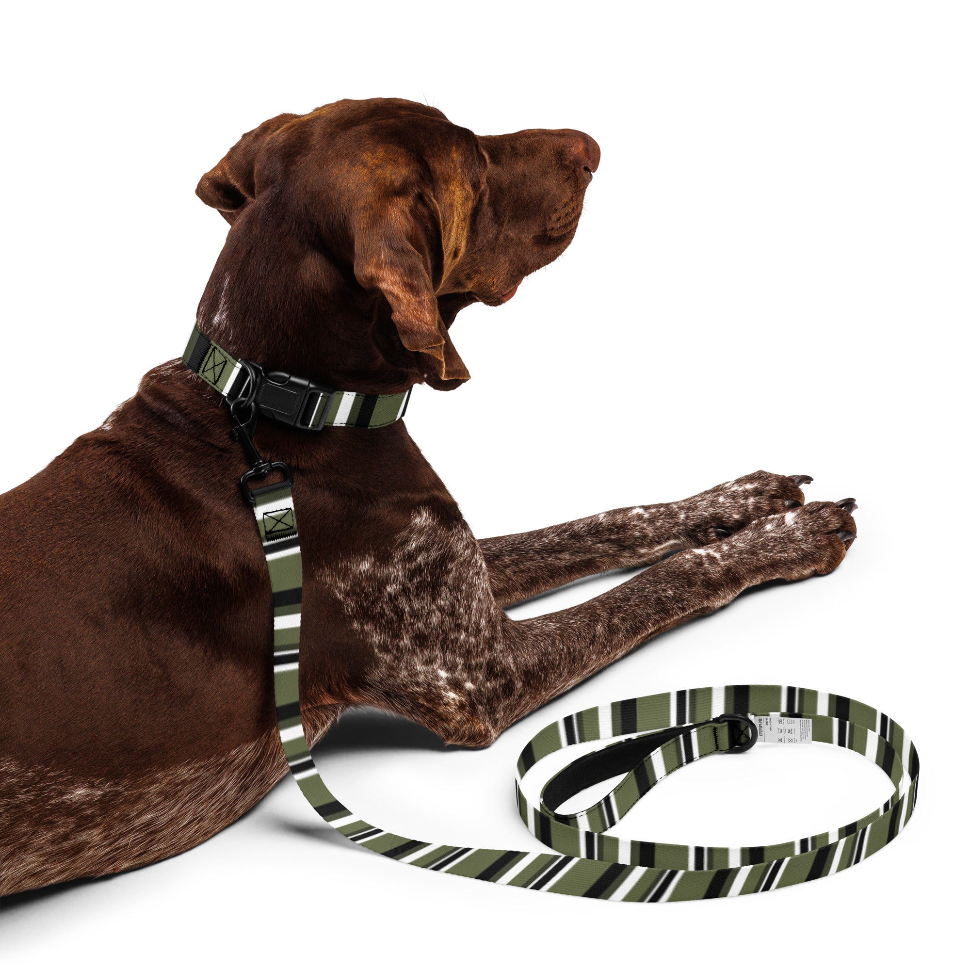 AWIP Olive Stripe Dog Lead