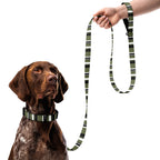 AWIP Olive Stripe Dog Lead