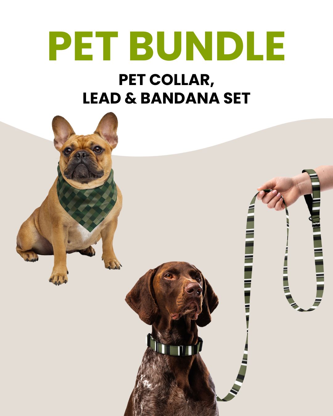 Pet Bundle